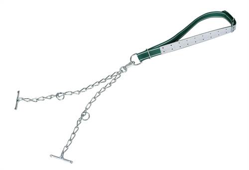 Jungbullenanb. kompl., Kette 6mm, dopp., mit Karabiner
