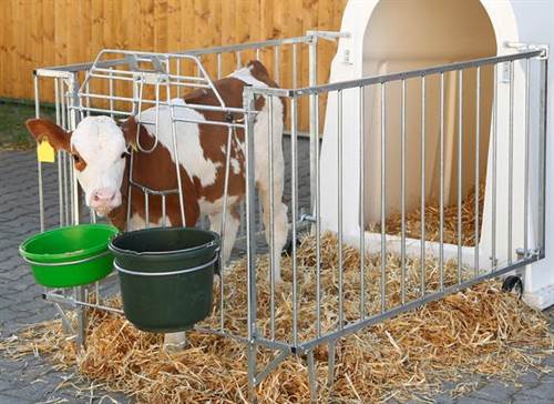 CalfHouse Master Plus ohne Umzäunung CalfHouse Master Plus ohne Umzäunung