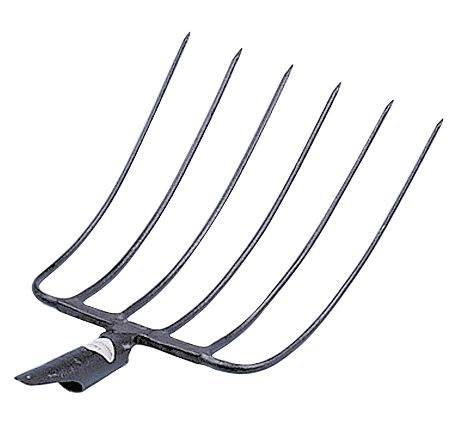 Rübengabel Mit 6 Zinken – Geschmiedet, 33 Cm Breite, 37 Cm Zinkenlänge, Mit Federtülle & Knöpfen – Für Den Professionellen Gemüseanbau & Garten Rübengabel Mit 6 Zinken – Geschmiedet, 33 Cm Breite, 37 Cm Zinkenlänge, Mit Federtülle & Knöpfen – Für Den Professionellen Gemüseanbau & Garten